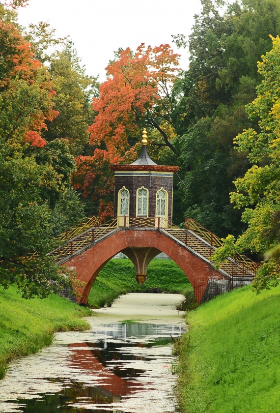 фотосессия